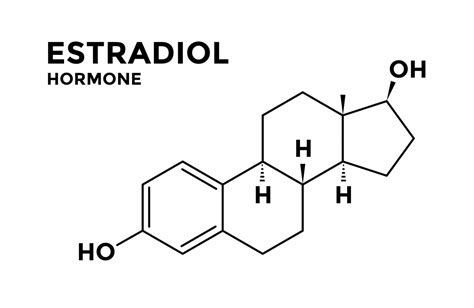 o que é estradiol